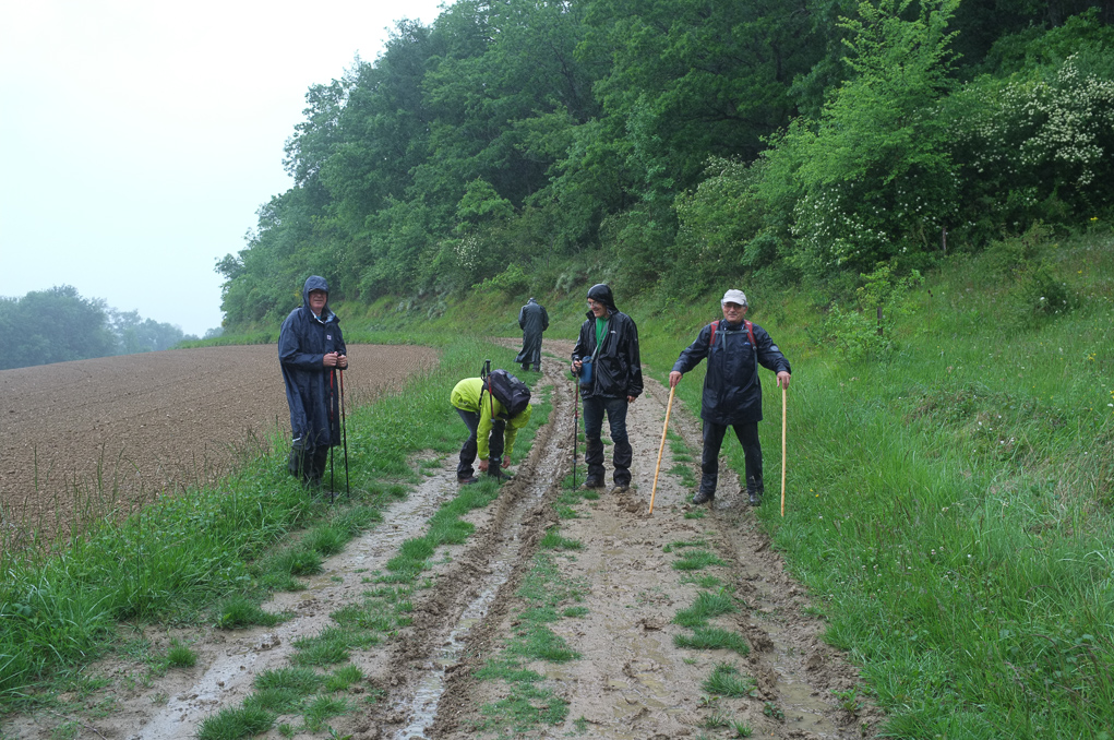 Sentier de la Tannerie