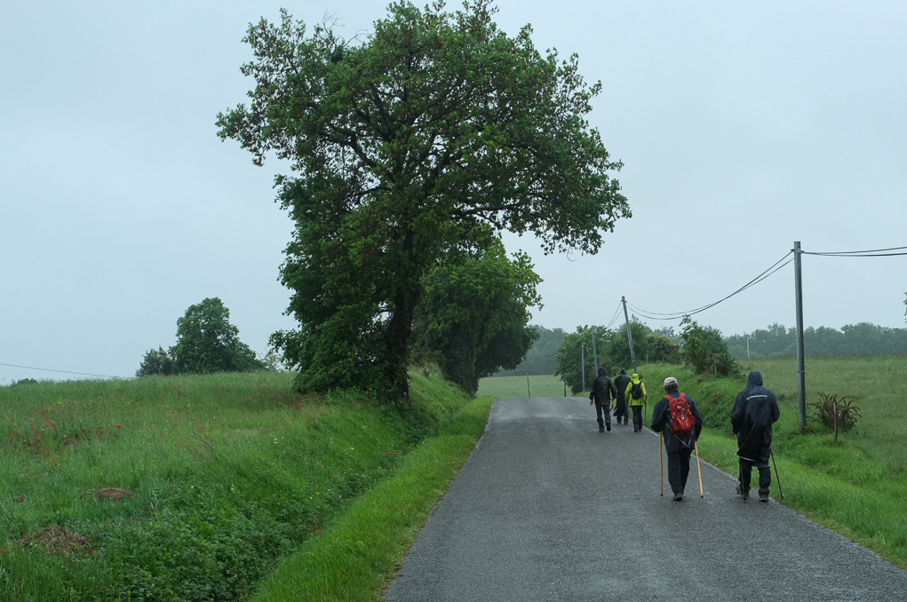 Sentier de la Tannerie